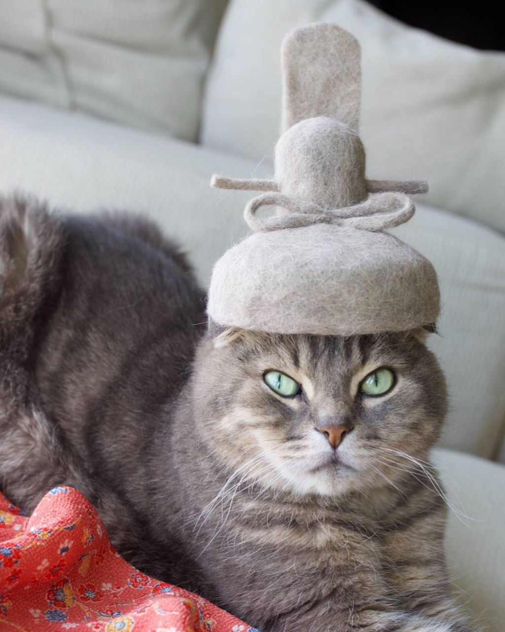 Gatos usam chapus, gorros e acessrios feitos com seu prprio pelo 30