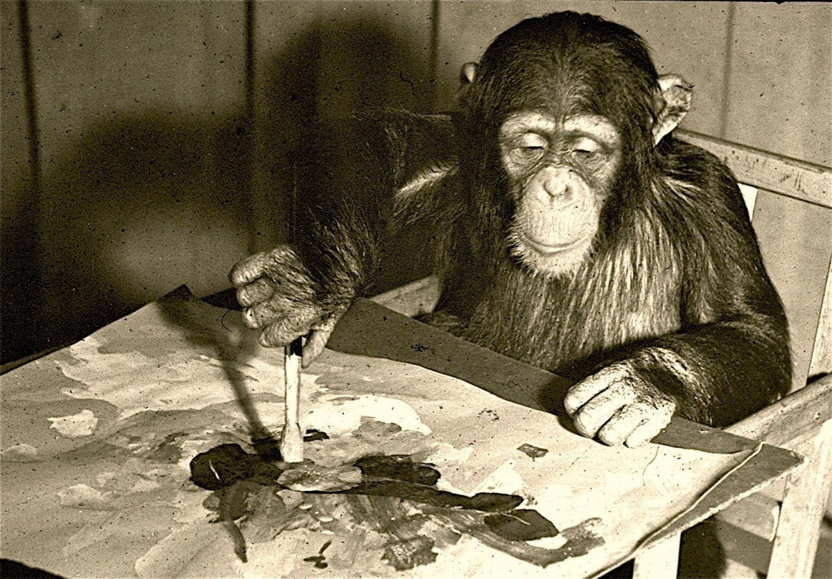 Congo, o chimpanz pintor admirado por mestres da arte