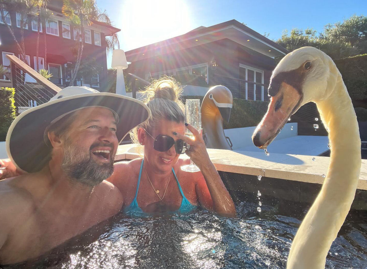 Casal americano modifica quintal e casa para manter o cisne resgatado seguro e feliz