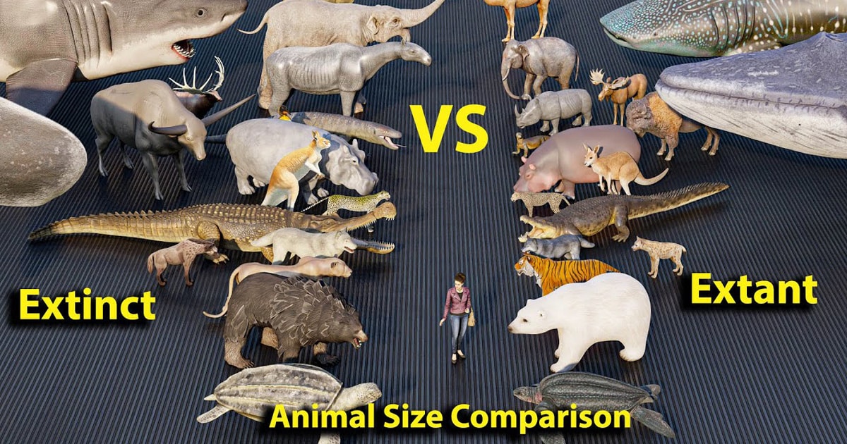 Animação fascinante compara o tamanho de animas extintos com seus descendentes