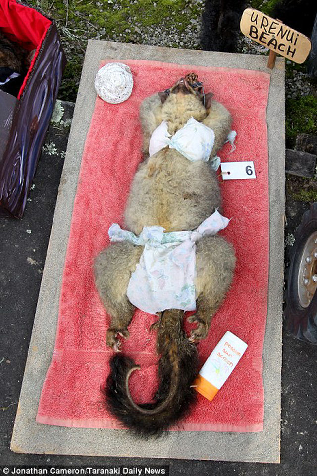 Crianas vestem animais mortos em concurso bizarro