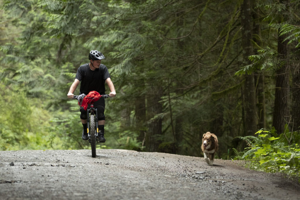 Filme fofo rende homenagem às bicicletas e ao seu melhor amigo
