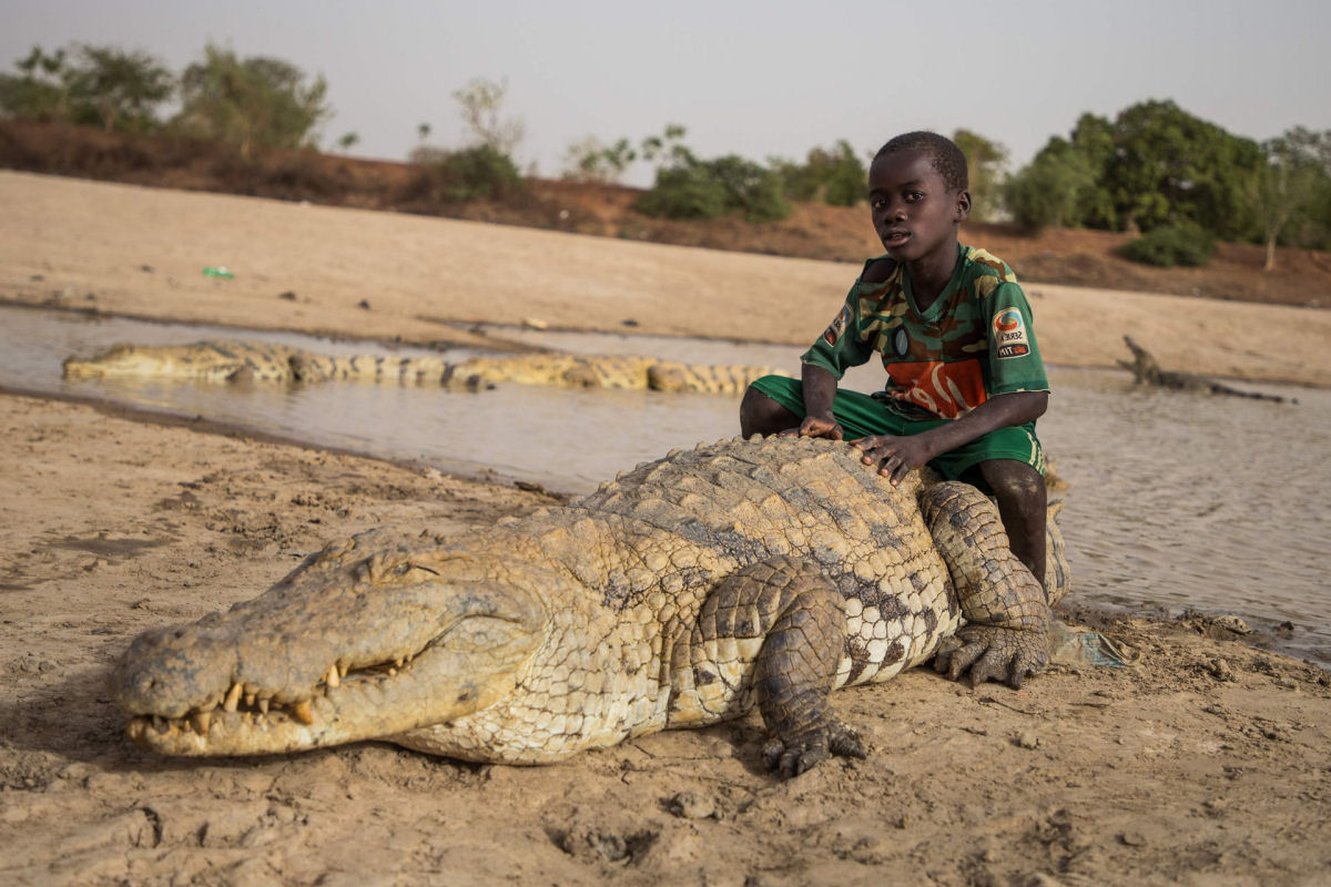 A aldeia africana onde crocodilos e humanos vivem lado a lado pacificamente