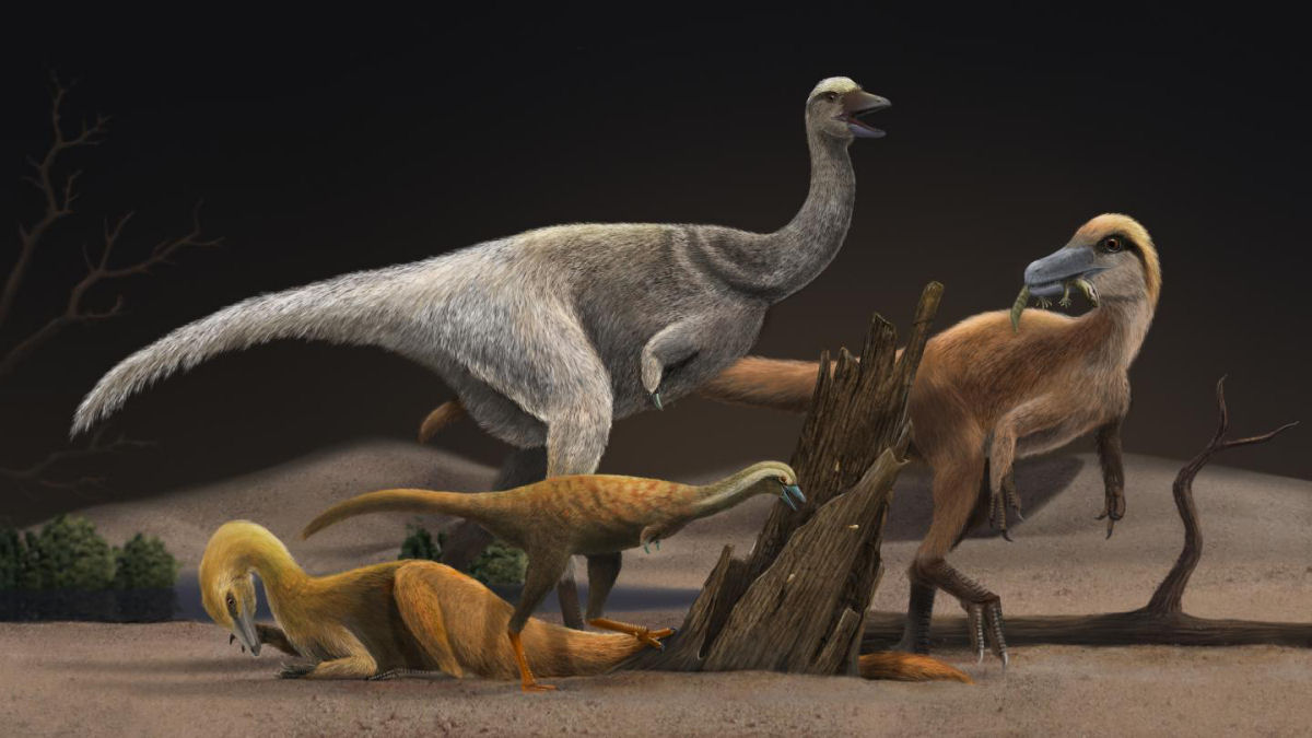 Qual a aparência real dos dinossauros? E quantas espécies não estão no registro fóssil?