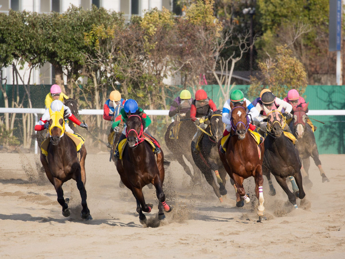 Égua que 'faz os locutores chorarem' ganha a primeira corrida no Japão