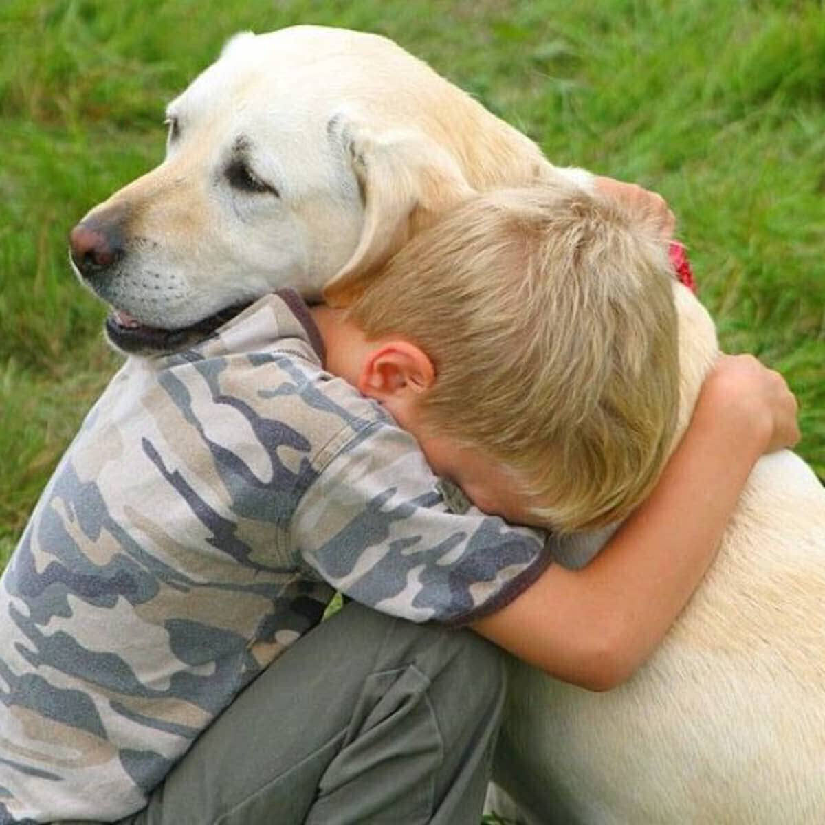 Os animais so capazes de sentir emoes complexas?