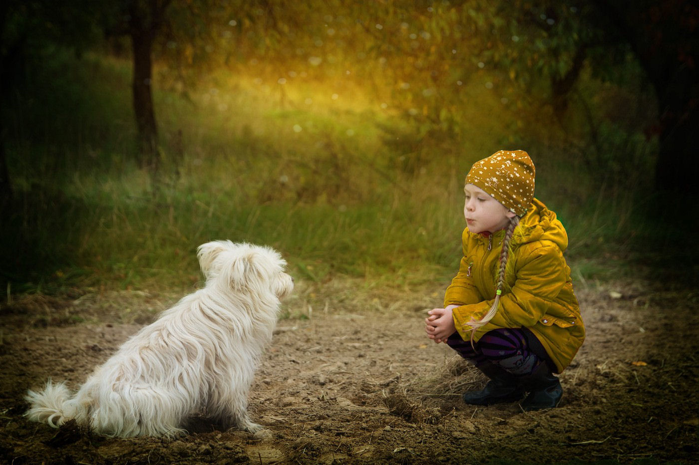 Os animais so capazes de sentir emoes complexas?