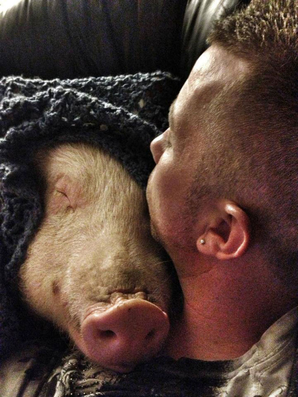 Este casal pensou que tinha adotado um mini porco, mas se converteu em 300 quilos de ternura 17
