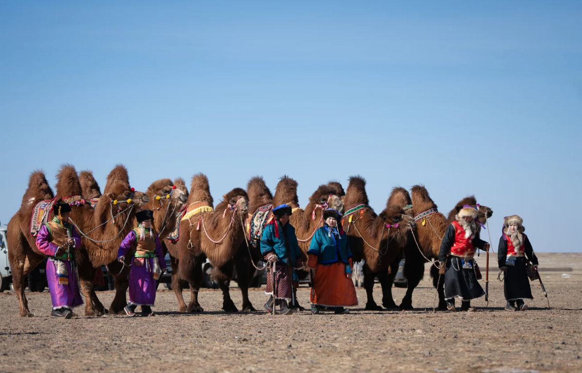 O maior festival de camelos-bactrianos do mundo na Monglia