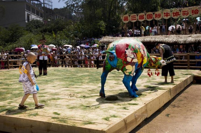 Concurso de pintura de bfalos na China 15