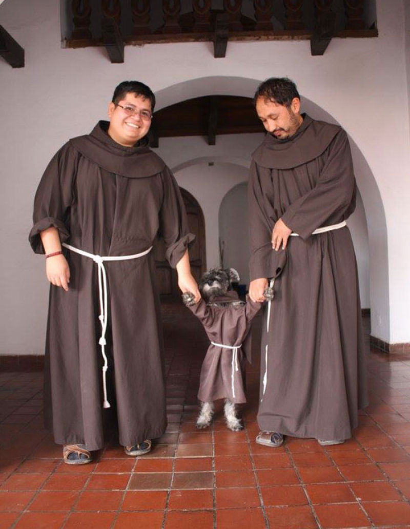 Schnauzer adotado por monges  o mais novo frei de um mosteiro franciscano 02