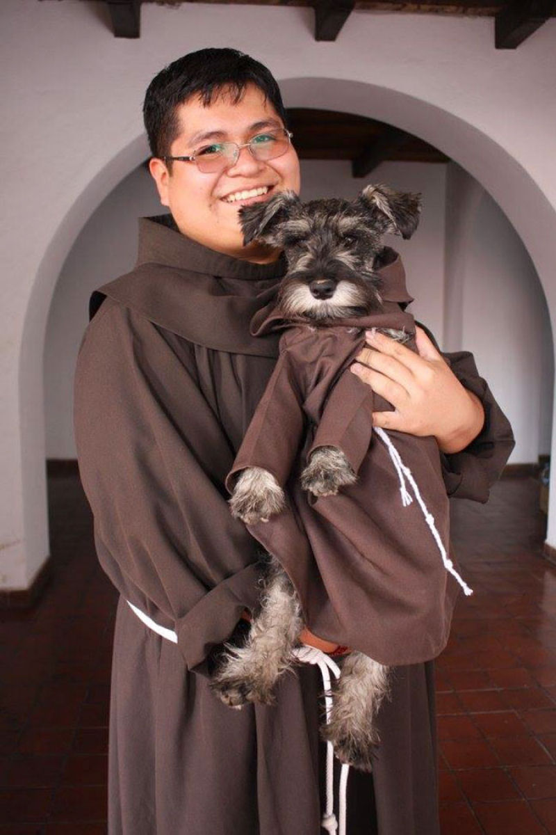 Schnauzer adotado por monges  o mais novo frei de um mosteiro franciscano 03