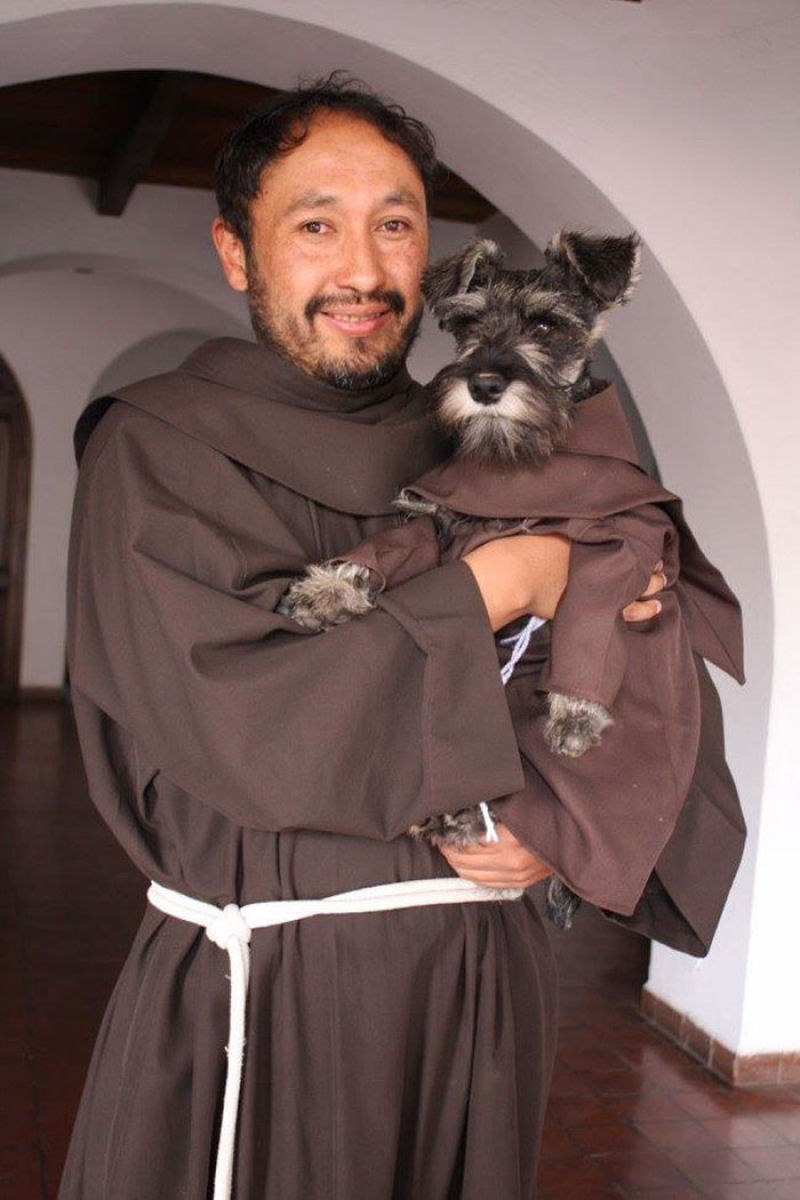Schnauzer adotado por monges  o mais novo frei de um mosteiro franciscano 06
