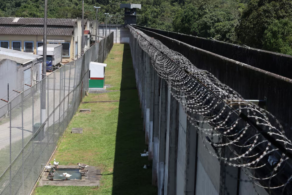 Penitenciria usa gansos como sentinelas em Santa Catarina