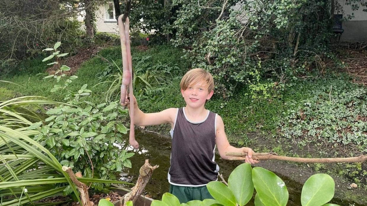 Menino de nove anos encontra uma minhoca de um metro de comprimento em seu quintal