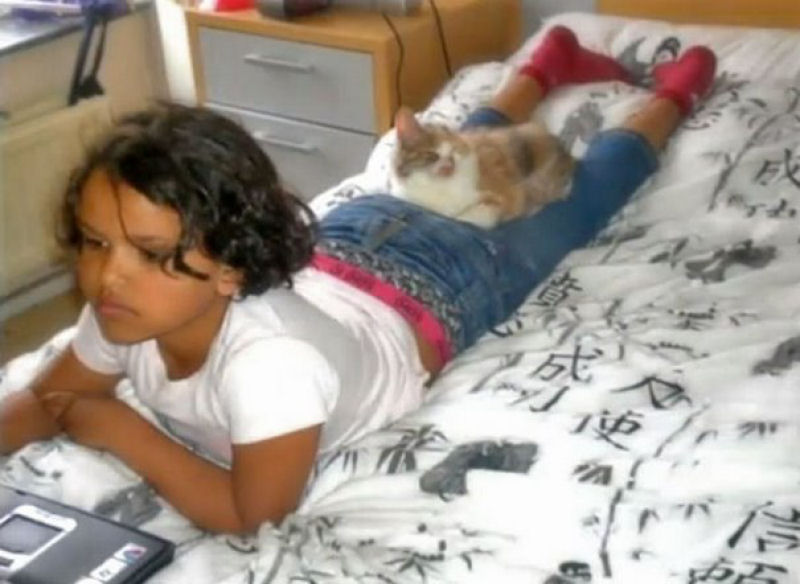 Ningum queria adotar este gatinho, at que uma menina de 7 anos o salvou 08