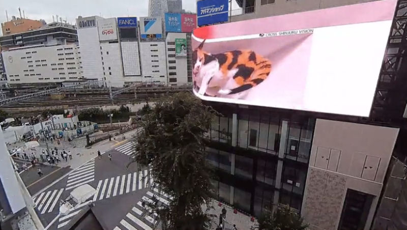 Outdoor em Tóquio está exibindo conteúdo em 3D durante um tempo limitado a cada dia