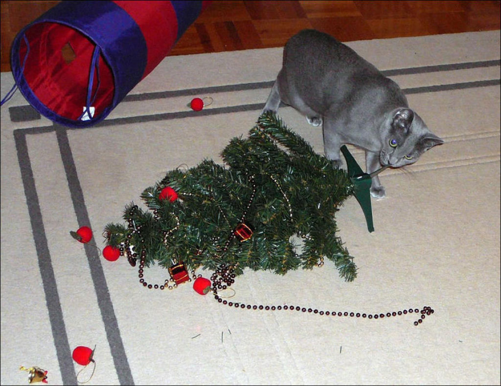 Árvores de Natal são para gatos? 02