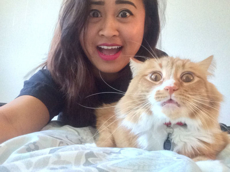 Estes gatos estão fartos da moda dos selfies 22