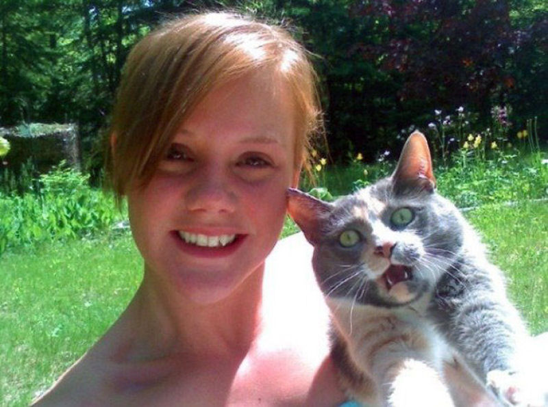 Estes gatos estão fartos da moda dos selfies 24