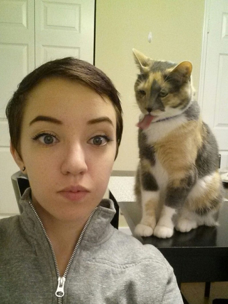 Estes gatos estão fartos da moda dos selfies 25
