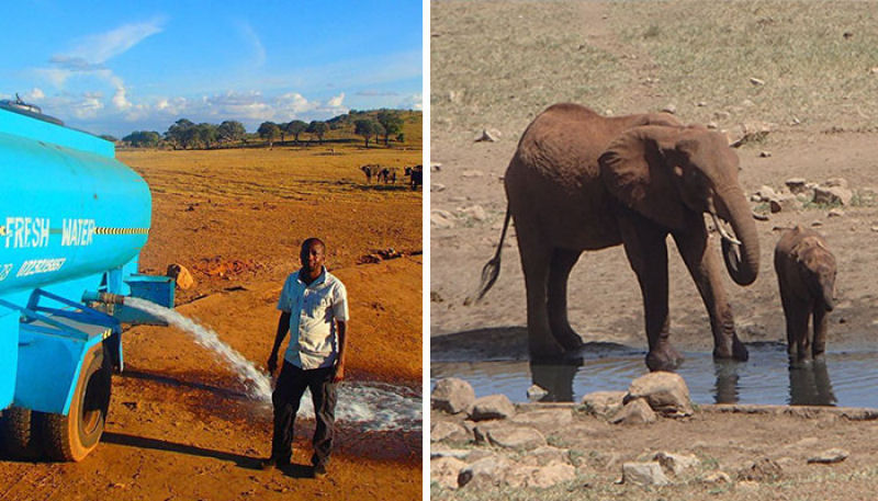 Guardio dos Elefantes do Qunia promete entregar gua a animais sedentos at que chova novamente 01