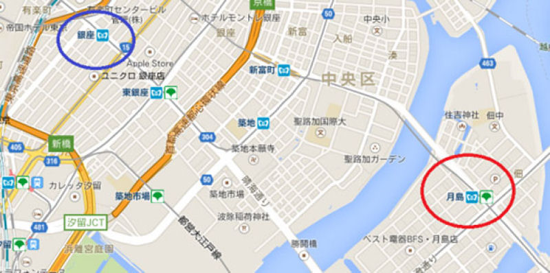 O dono mais paciente do mundo passeia com sua tartaruga gigante pelas ruas de Tóquio 03
