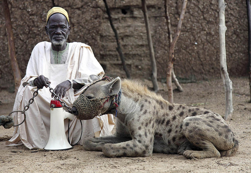 Os homens hiena: fotografias de delinquentes africanos com seus poderosos bichinhos de estimao 07