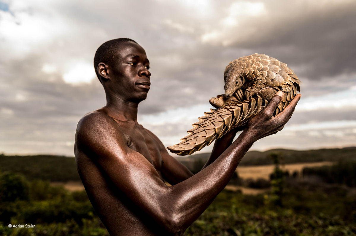 Os 'homens-pangolim' cuidam do mamífero mais traficado do mundo