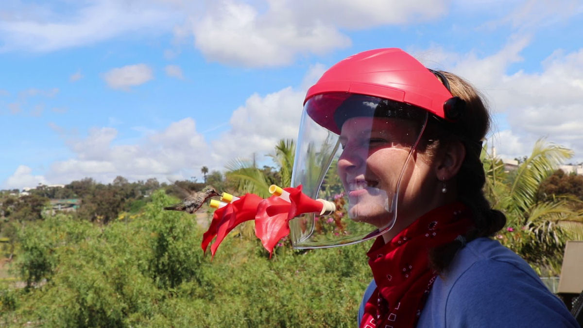 Mscara criativa com alimentador de beija-flor permite que voc observe os colibris de perto