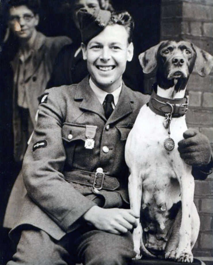 Cães de guerra - Judy, o único prisioneiro de guerra canino