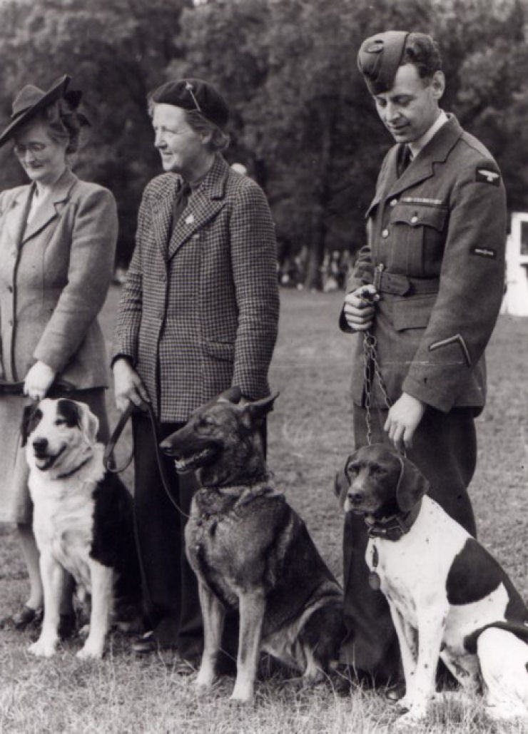 Cães de guerra - Judy, o único prisioneiro de guerra canino