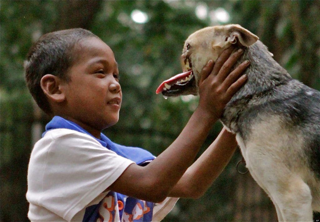 Kabang, a cadelinha que perdeu seu focinho por salvar duas meninas