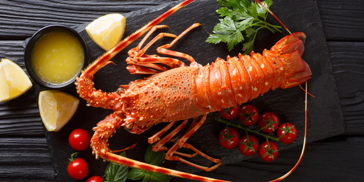 A lagosta costumava ser comida de pobre nos EUA