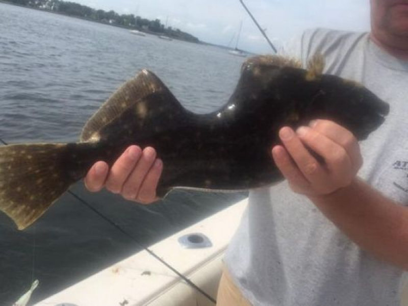 Pescador captura peixe com enorme mordida cicatrizada