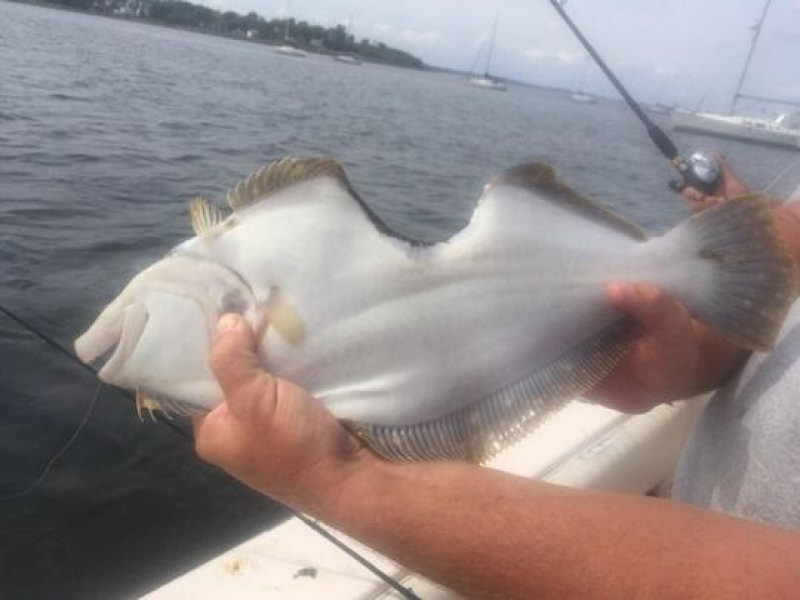 Pescador captura peixe com enorme mordida cicatrizada
