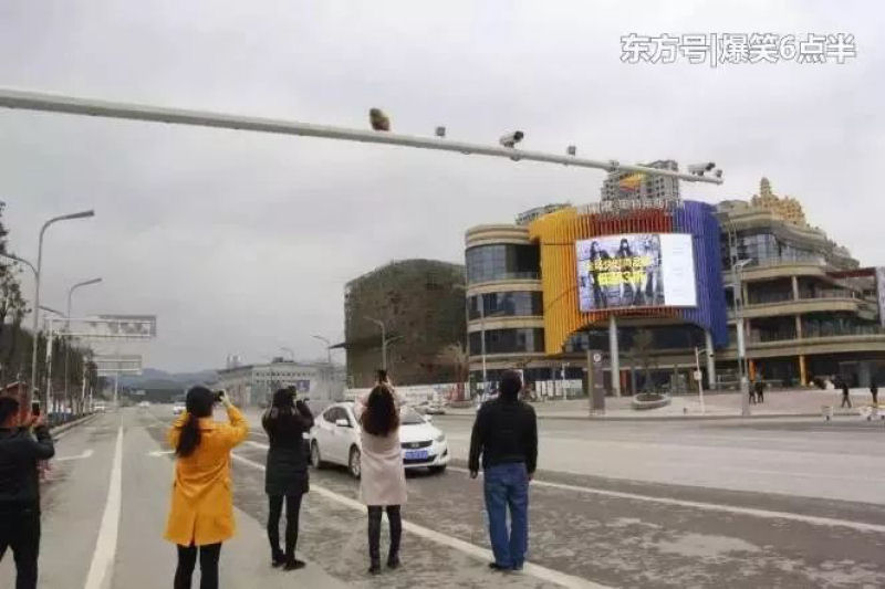 Chinesa provoca acidente de trnsito ao distrair-se com a bunda de um macaco no poste 06