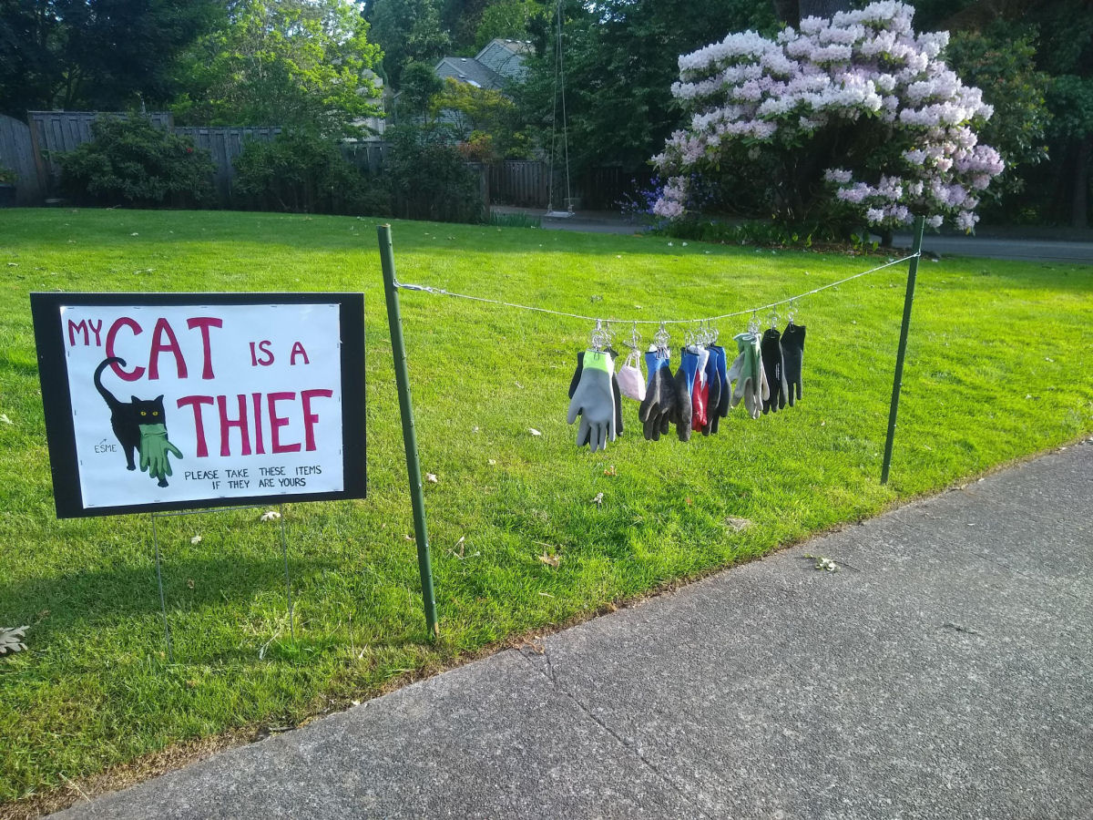 Americana cria cartaz para avisar os vizinhos de seu gato ladrão