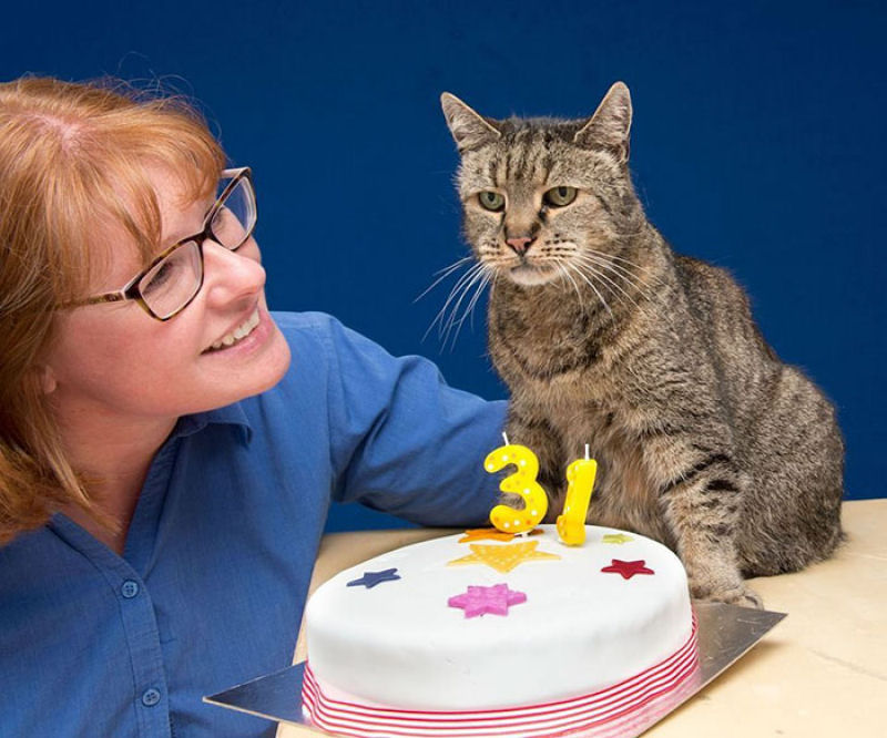 O gato mais velho do mundo tem 31 anos e ainda lhe restam vidas 01