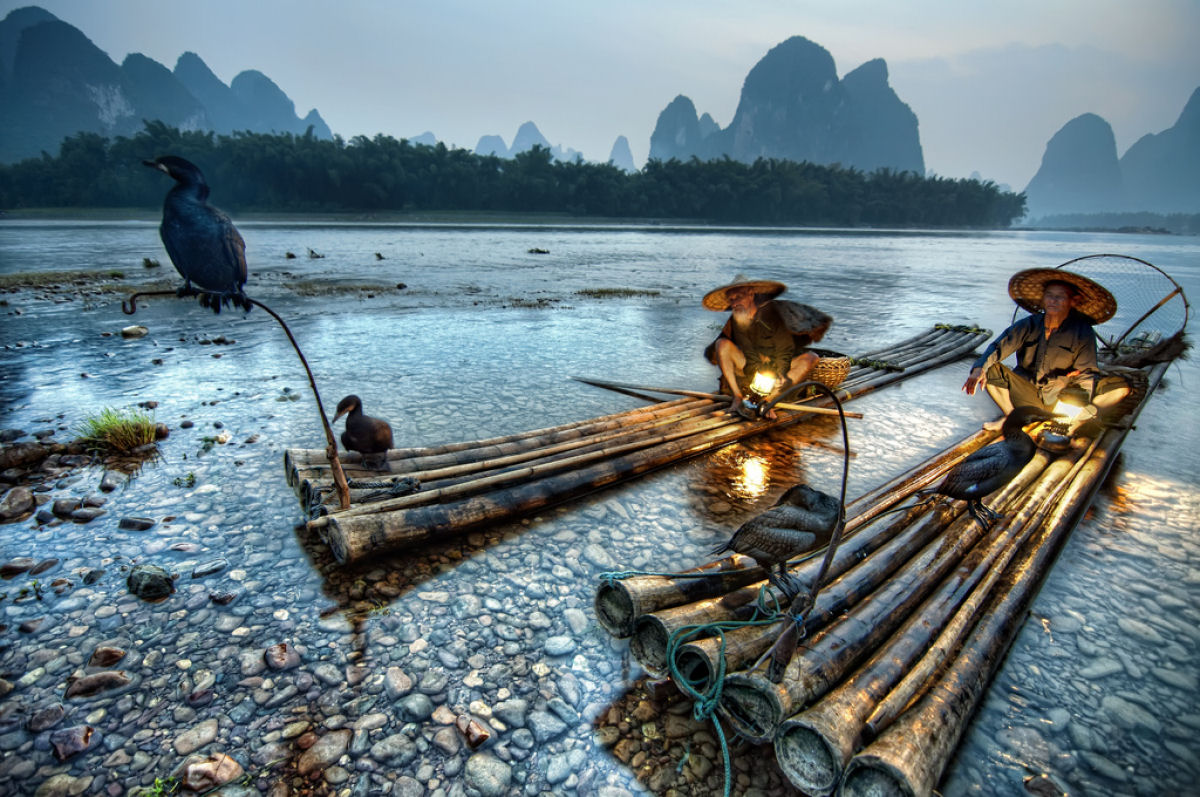A pesca com cormorões na China 01