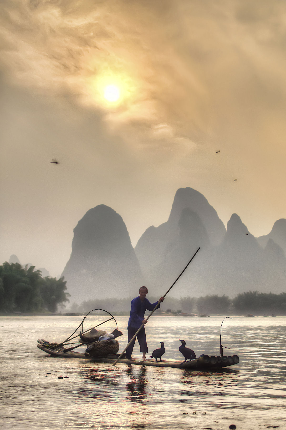A pesca com cormorões na China 03