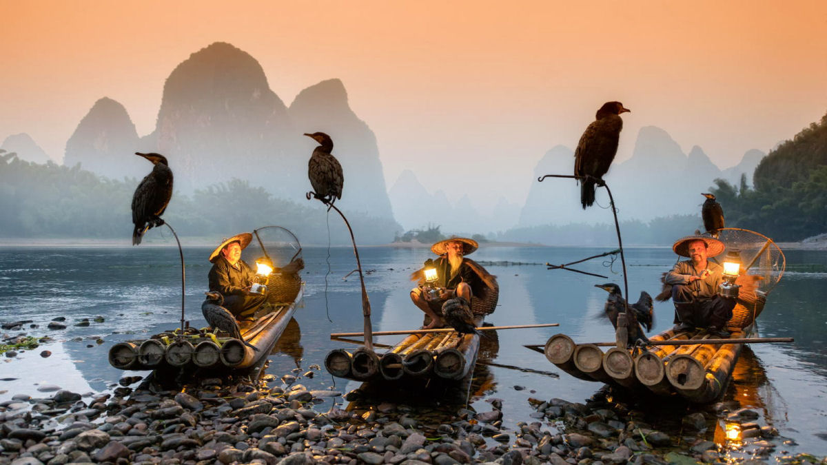 A pesca com cormorões na China 17