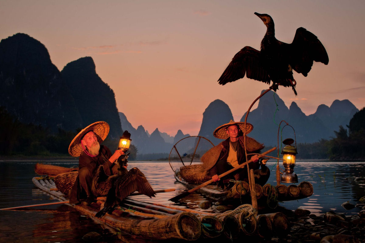 A pesca com cormorões na China 18