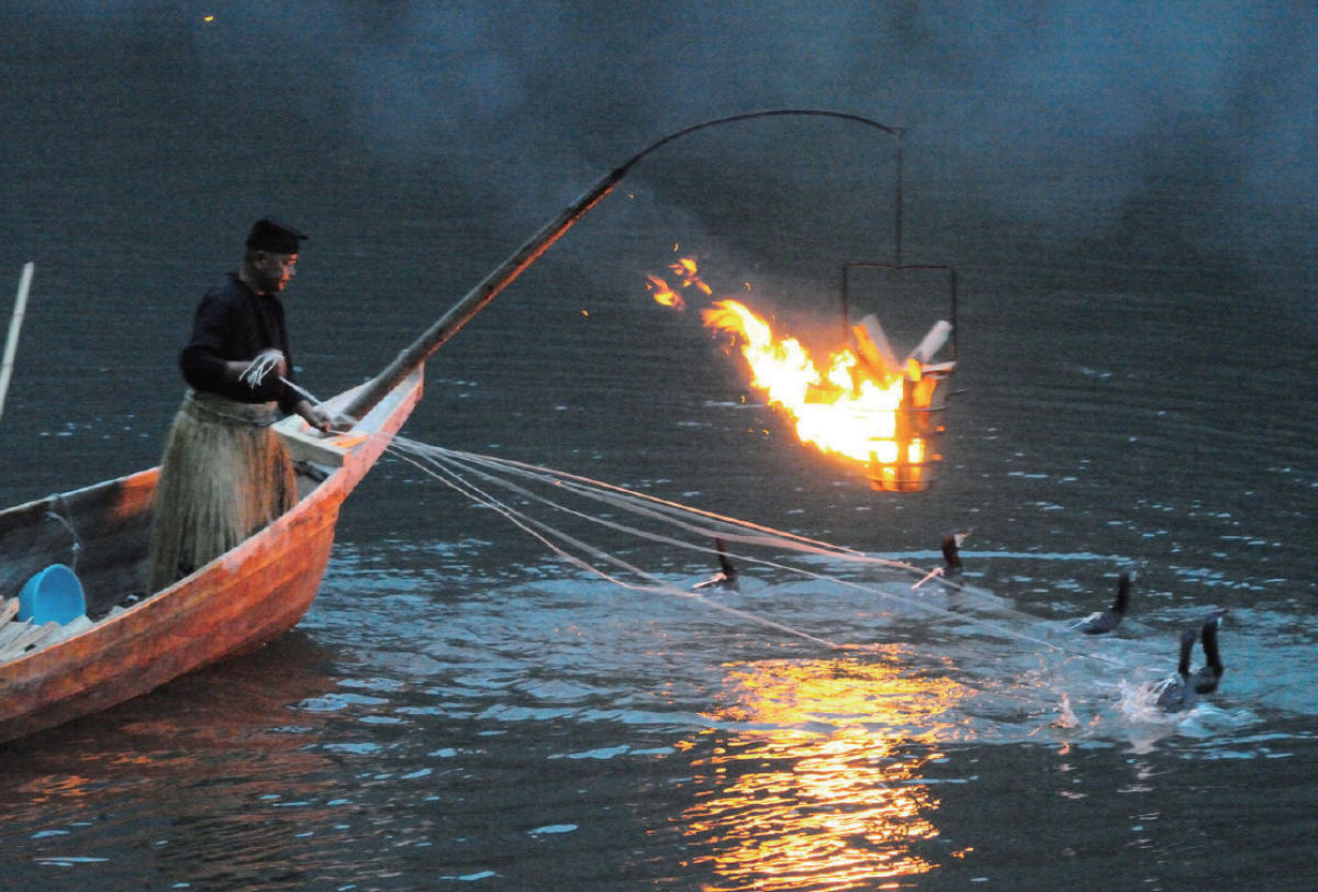 A pesca com cormorões na China 20