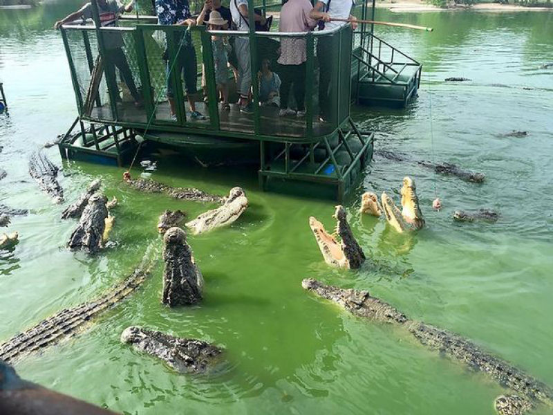 Esses turistas chineses esto em uma jangada frgil no meio de crocodilos famintos