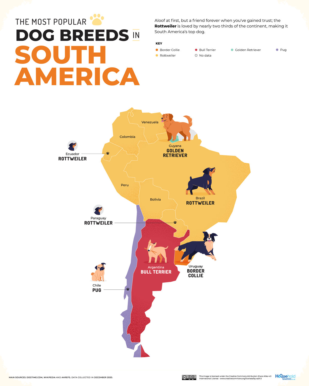 As raças de cães mais amadas em cada país do mundo, reunidas em um belo mapa
