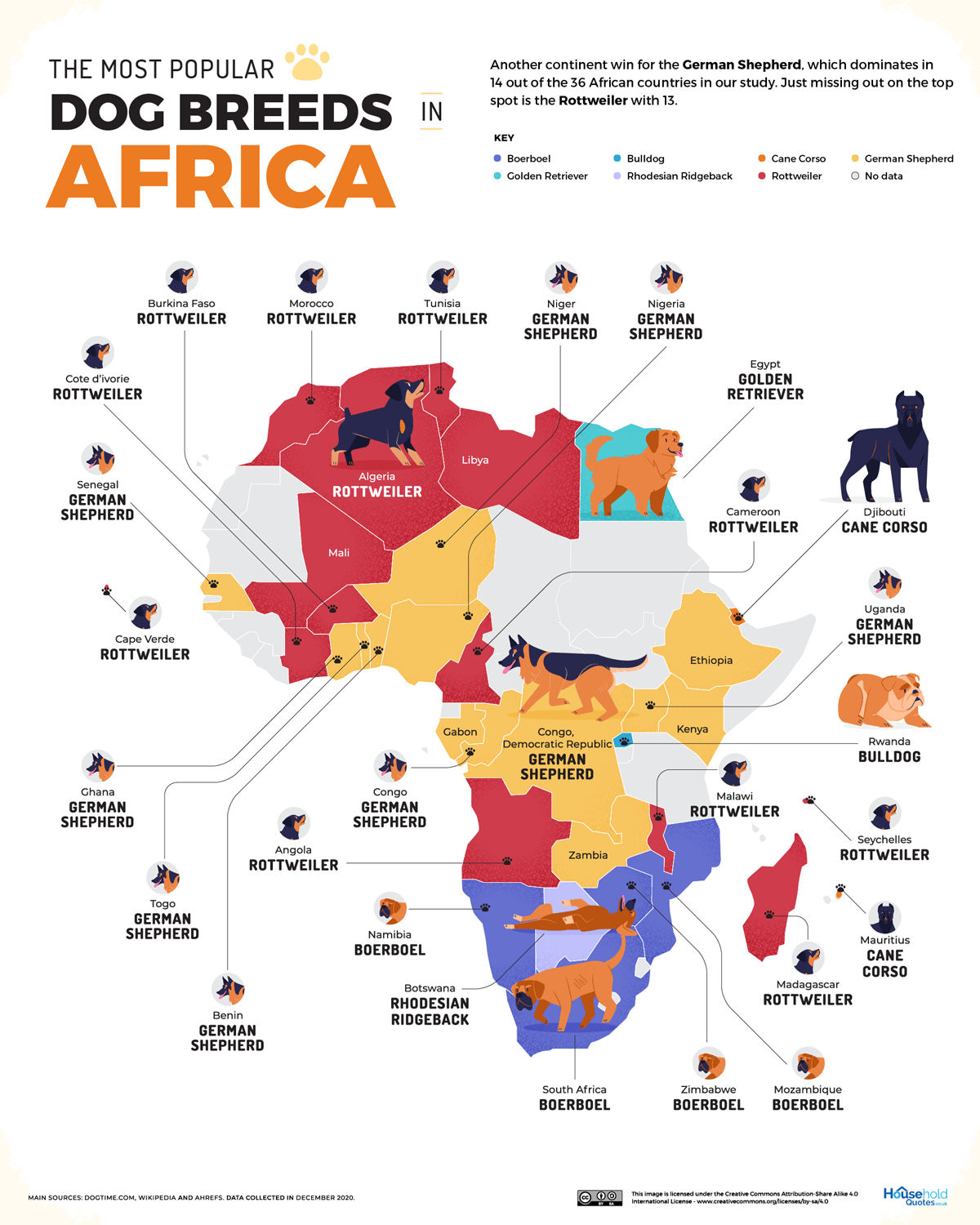 As raças de cães mais amadas em cada país do mundo, reunidas em um belo mapa