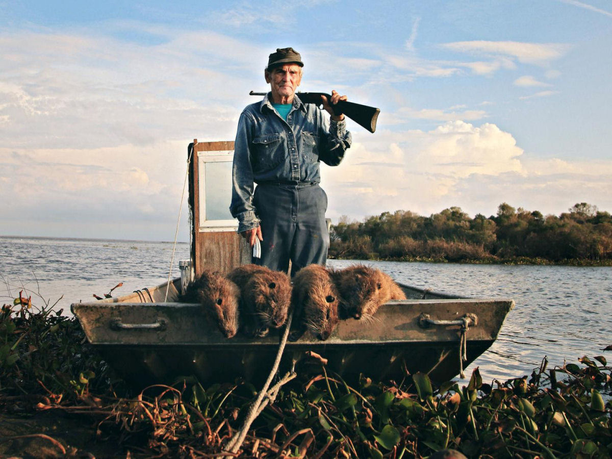 Estado americano da Louisiana está pagando 32 reais por cada ratão-do-banhado morto