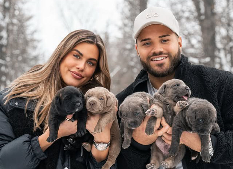 Jovem claustrofóbica resgata onze cachorrinhos adoráveis em um cano de esgoto