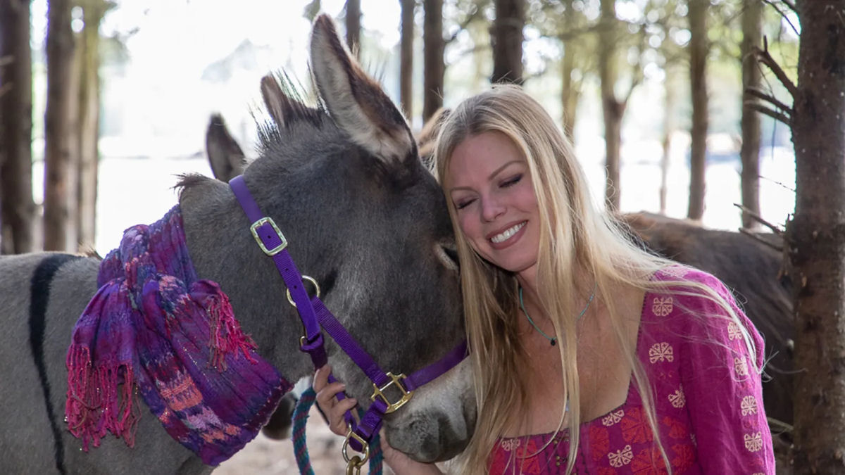 Burro e sua humana celebram sua jornada emocionante